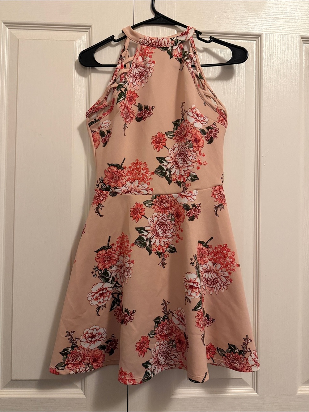 No Boundaries Blush Floral Halter Skater Dress